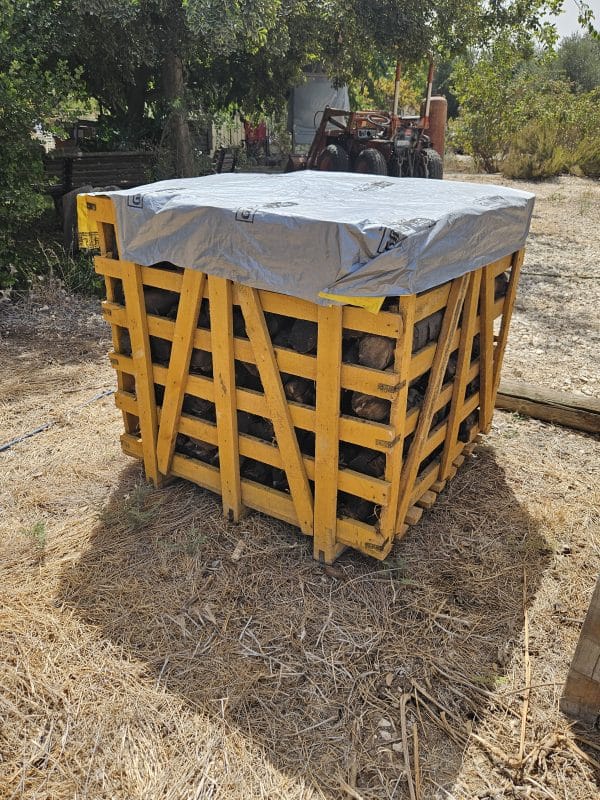קוב עץ זית להסקה